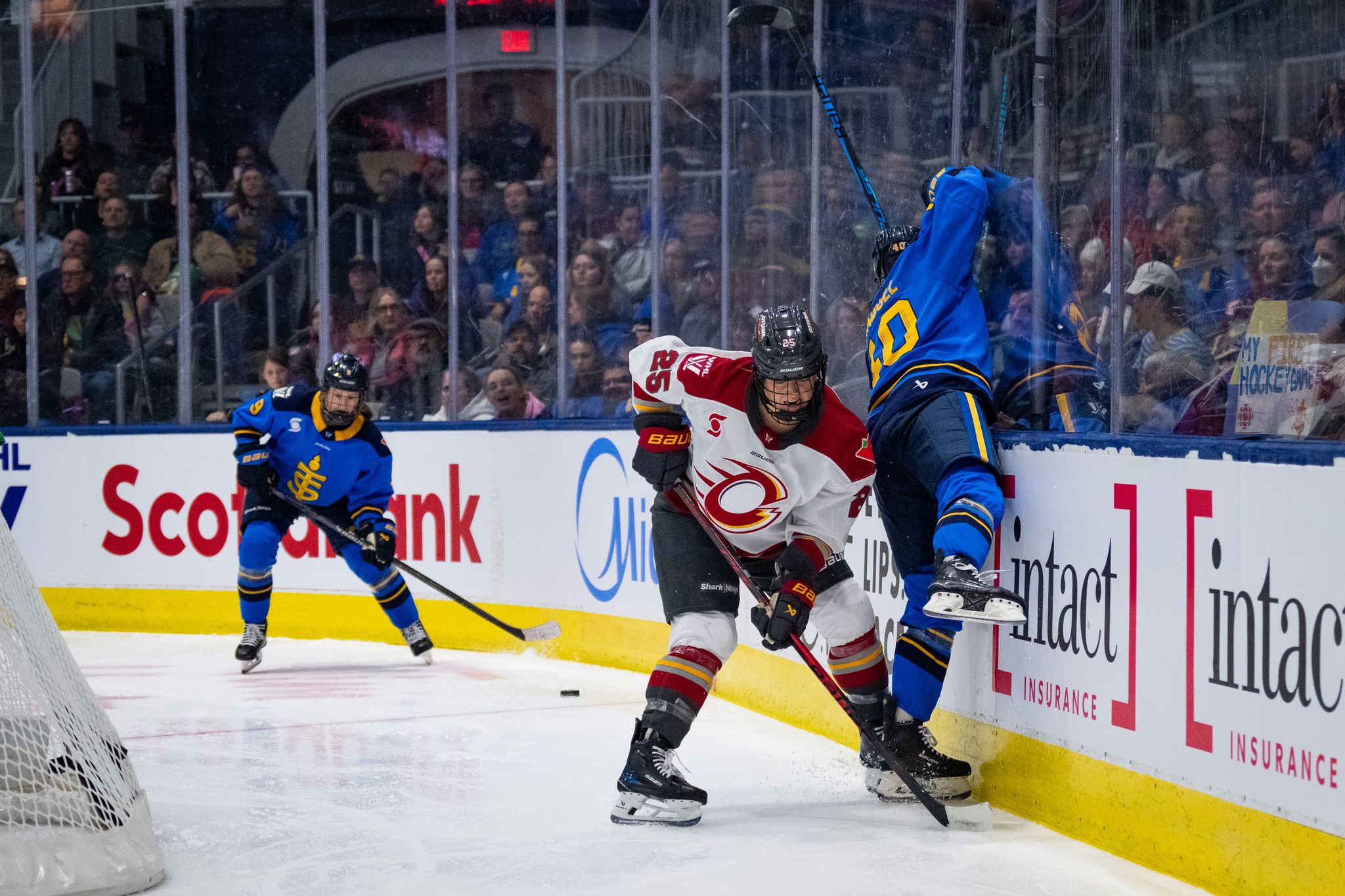 Gwyneth Philips stops 42 shots as Charge blank Sceptres