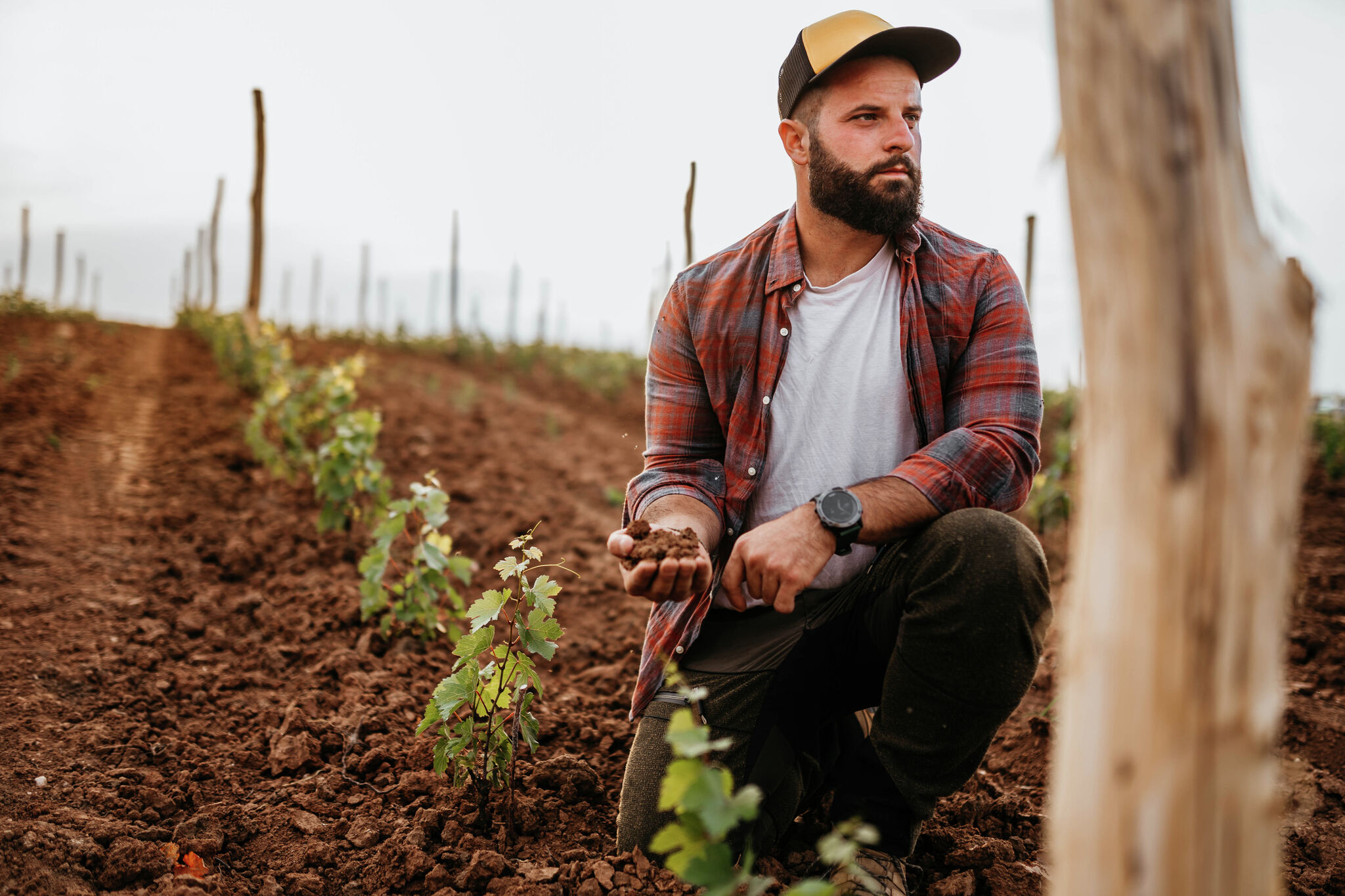 Popular beginning farmers program is axed