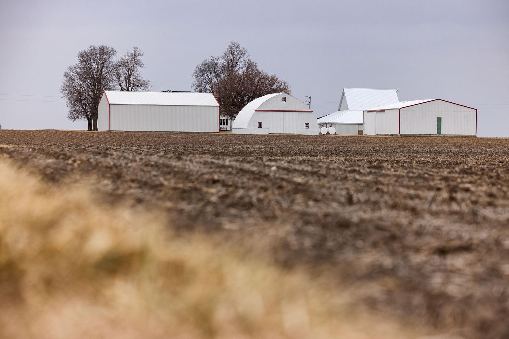 Illinois land values simmer, for now