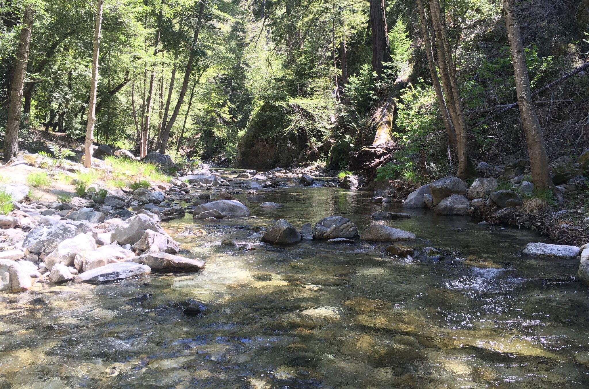 Woman found dead near Big Sur hot springs identified