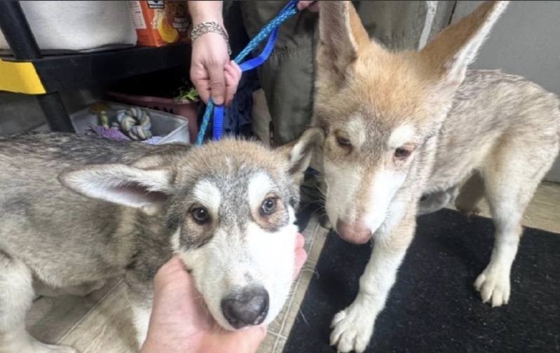 Fall in love with the country of Brazil