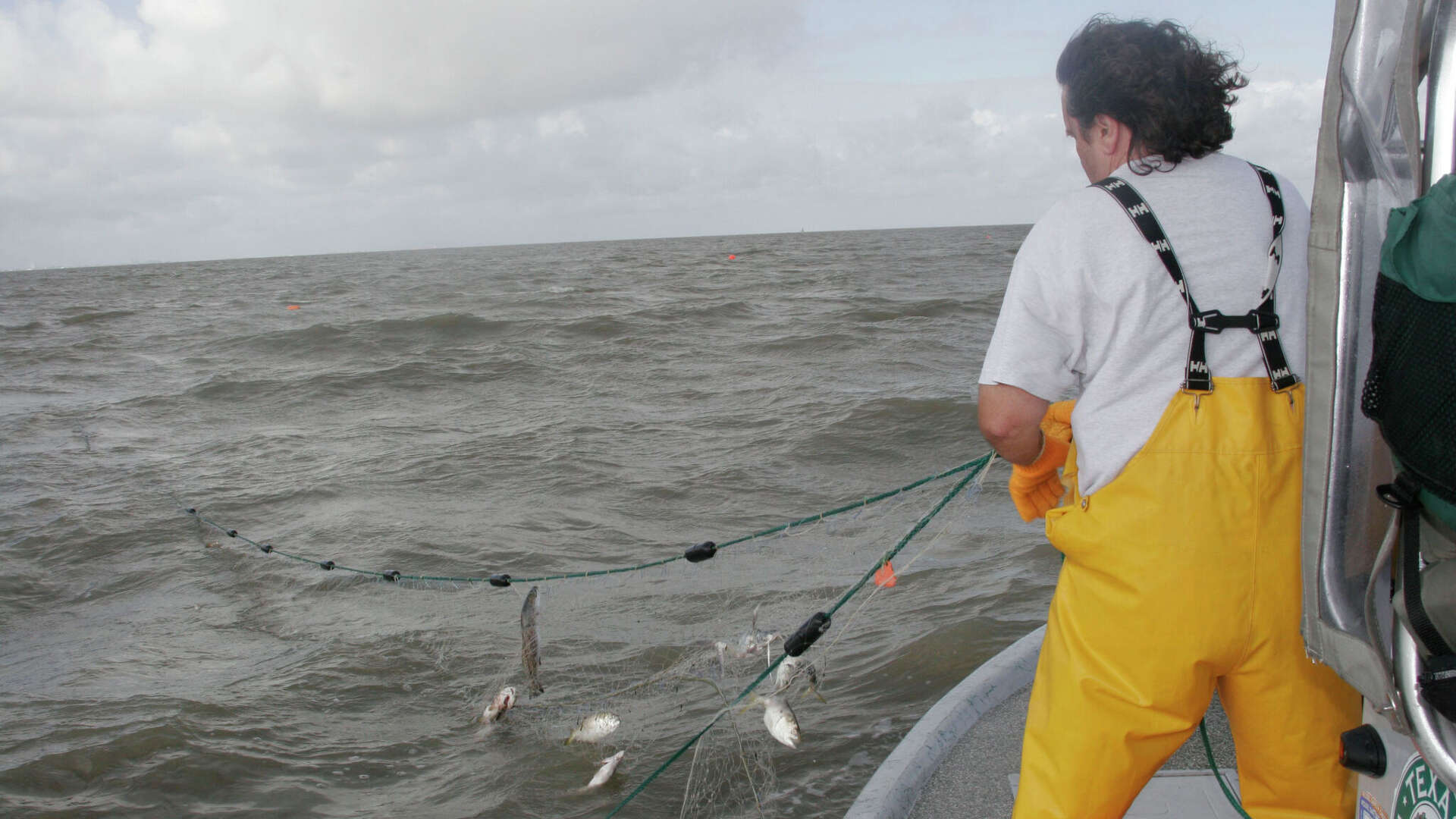 alabama cane pole fishing Cane pole snook | Waterline
