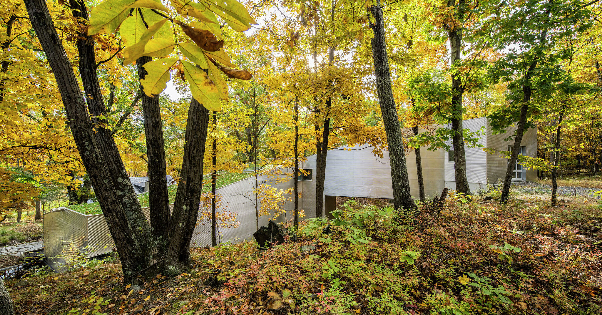 T' Space in Rhinebeck showcases art, architecture in upstate New York