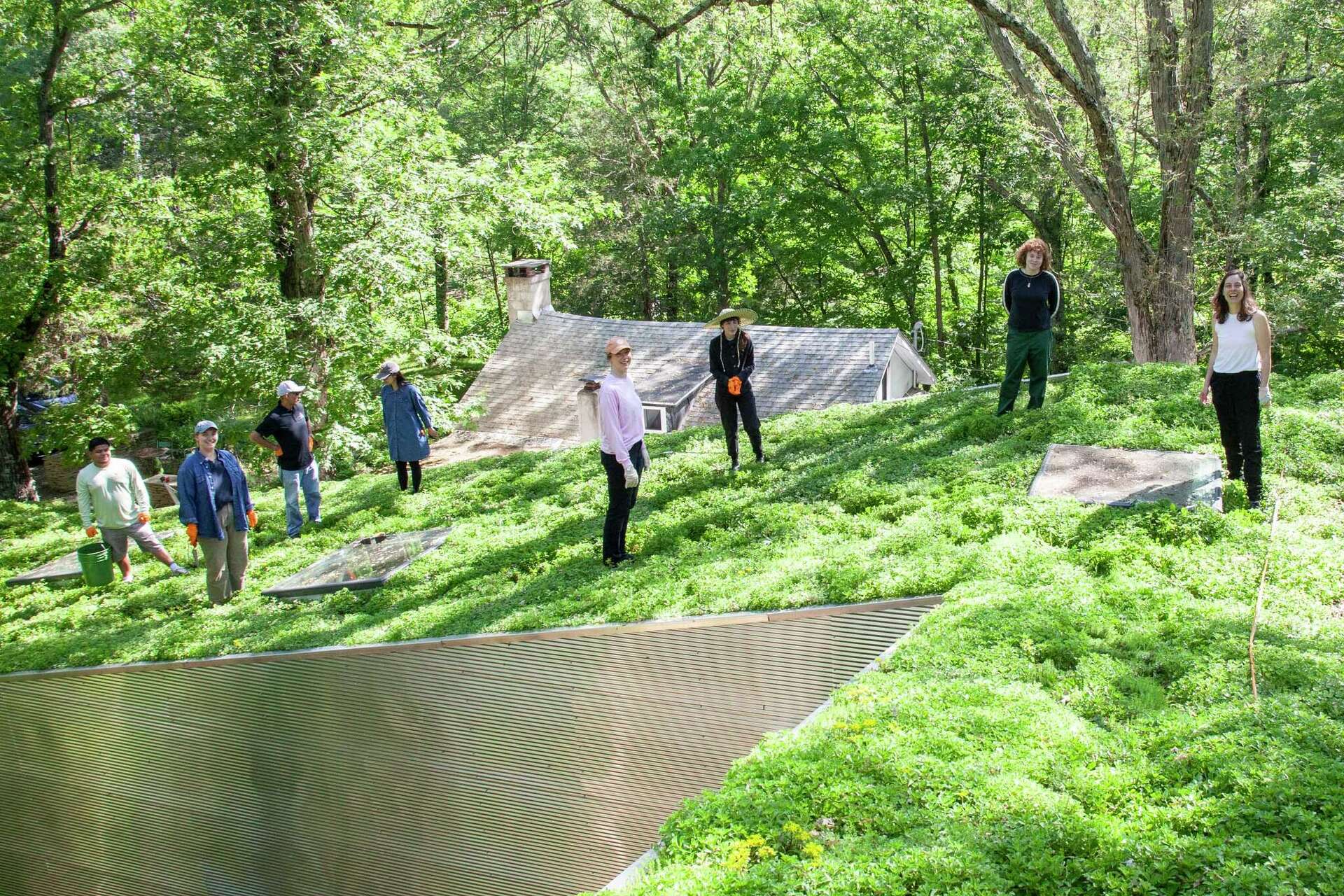 T' Space in Rhinebeck showcases art, architecture in upstate New York