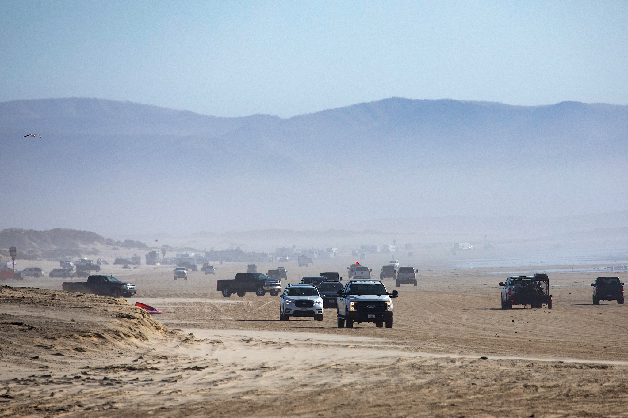Oceano Dunes off-roading area temporarily closed to protect shorebirds