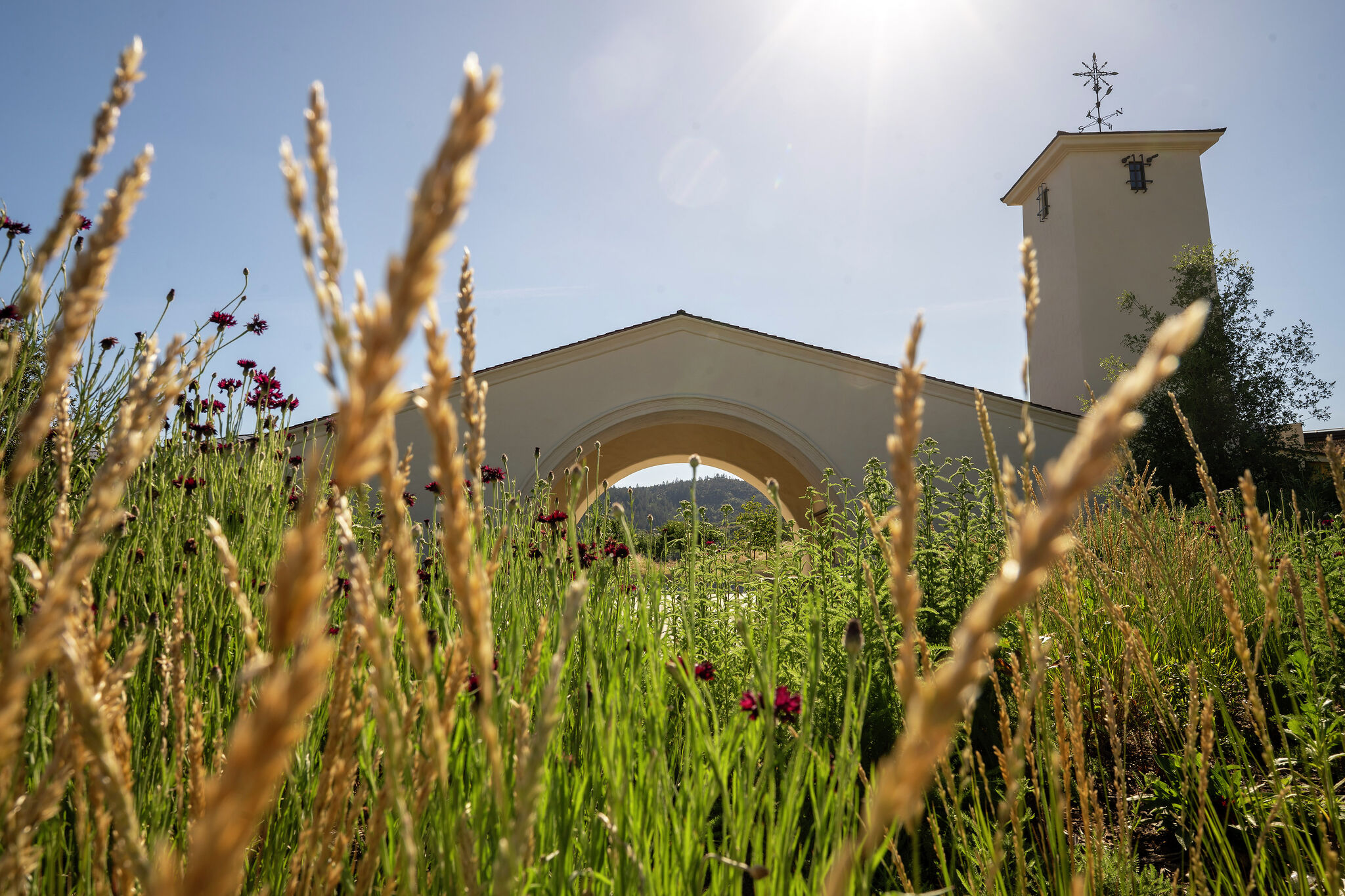 sfchronicle.com - Jess Lander - Inside the most anticipated California winery opening of the year, or maybe ever