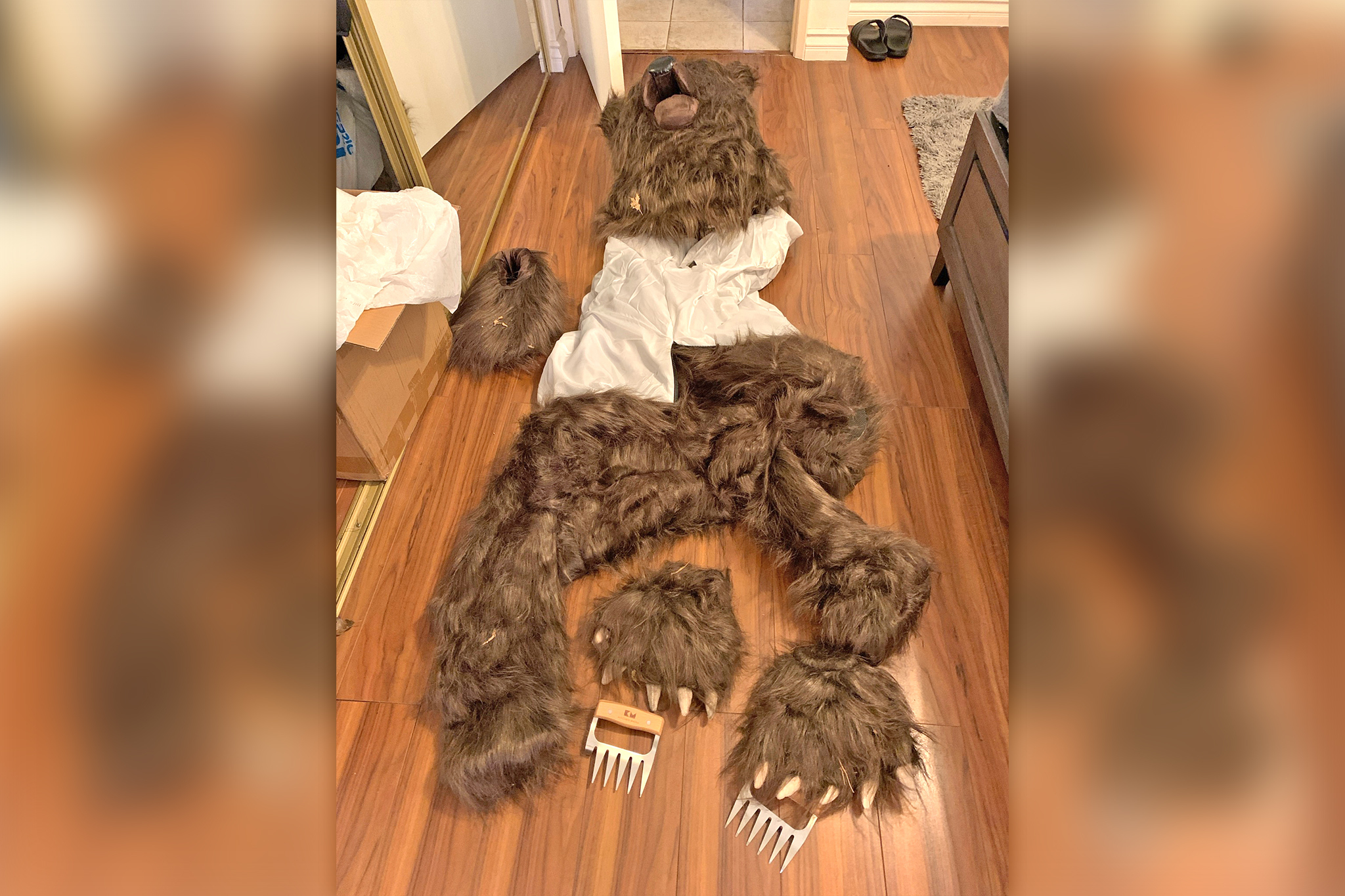 Bear costume used in 'unbelievable' SoCal insurance fraud scam
