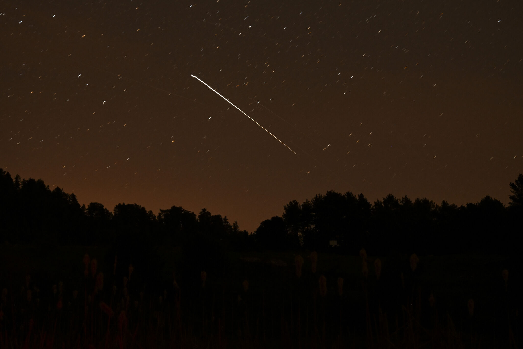 The Lyrids meteor shower to return to Connecticut skies this month. Here's when it will peak