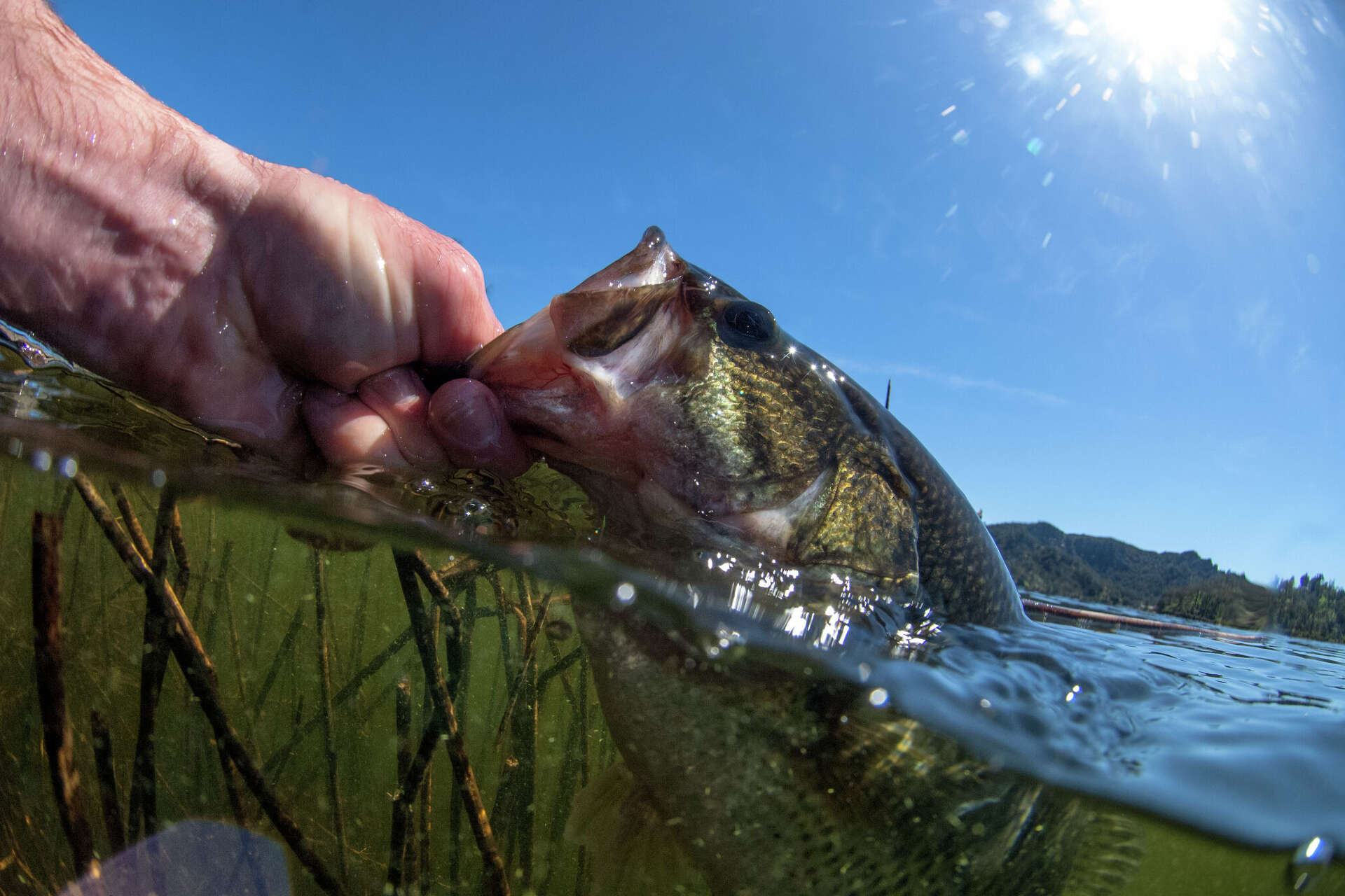 Texas anglers earn three top-10 finishes at Redcrest 2026