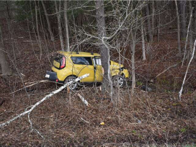 Greenville man dies after vehicle crashes into woods in New Scotland