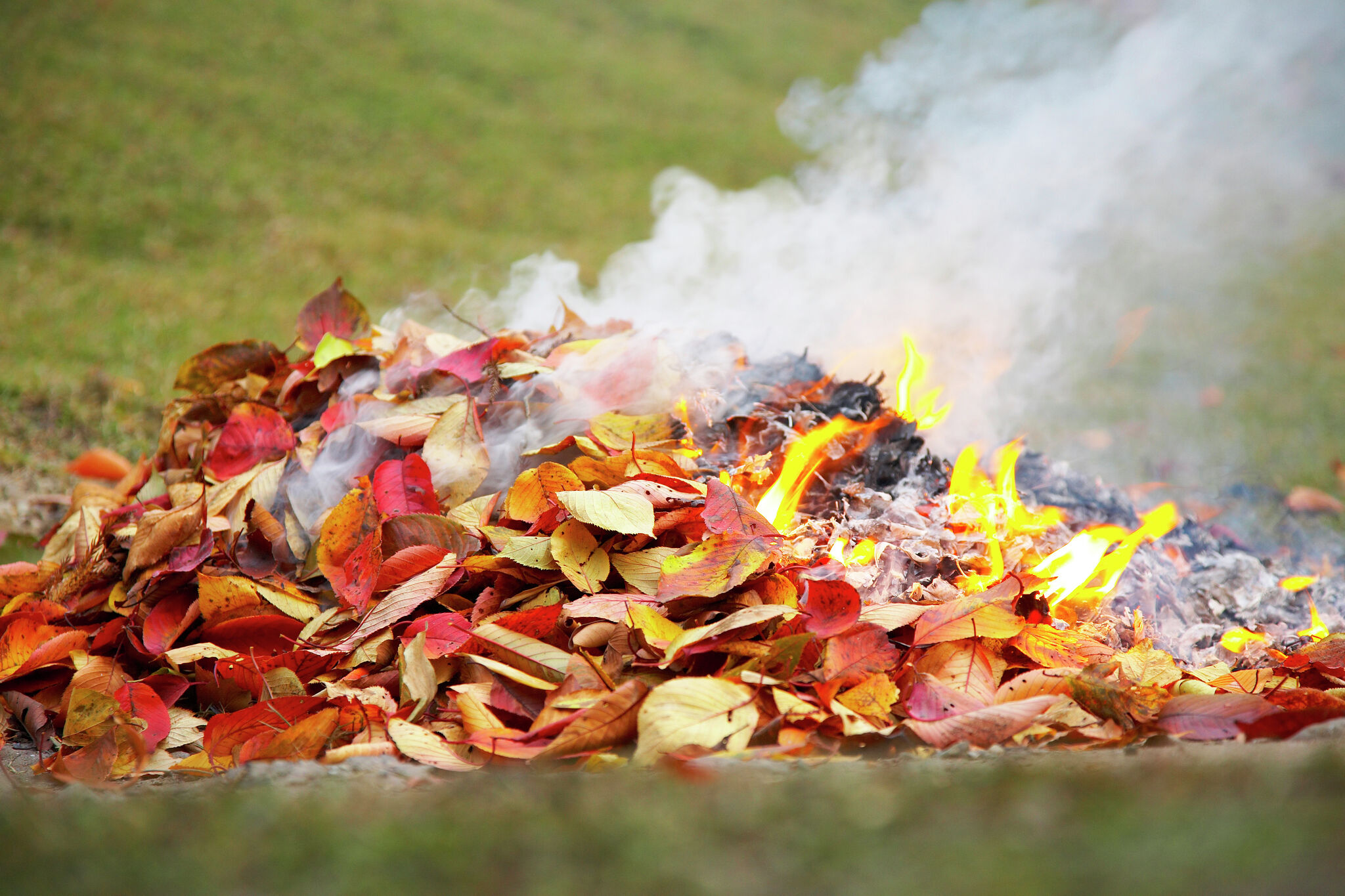 Waverly burn ban violators face fire response bills