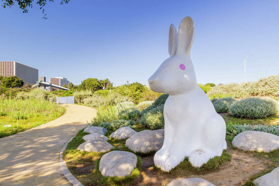 May Rabbit Albuquerque California’s richest city goes after famous bunnies