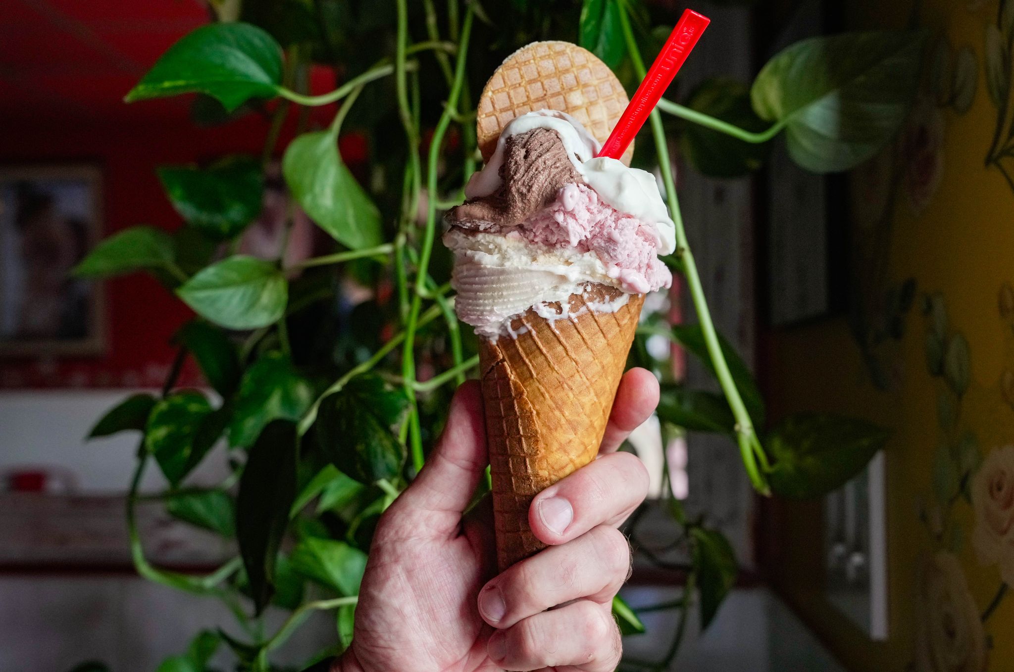 Mimo team brings gelato and mortadella sandwiches to the East End