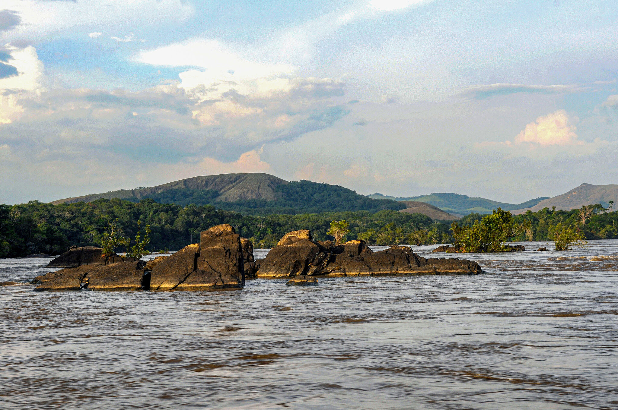 California big game hunter killed by elephants in Africa