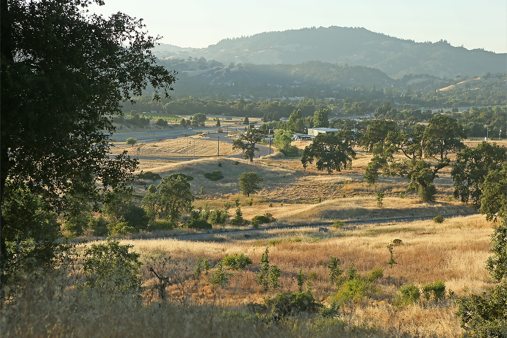 Proposal for a utopian development is splitting a Bay Area town in two
