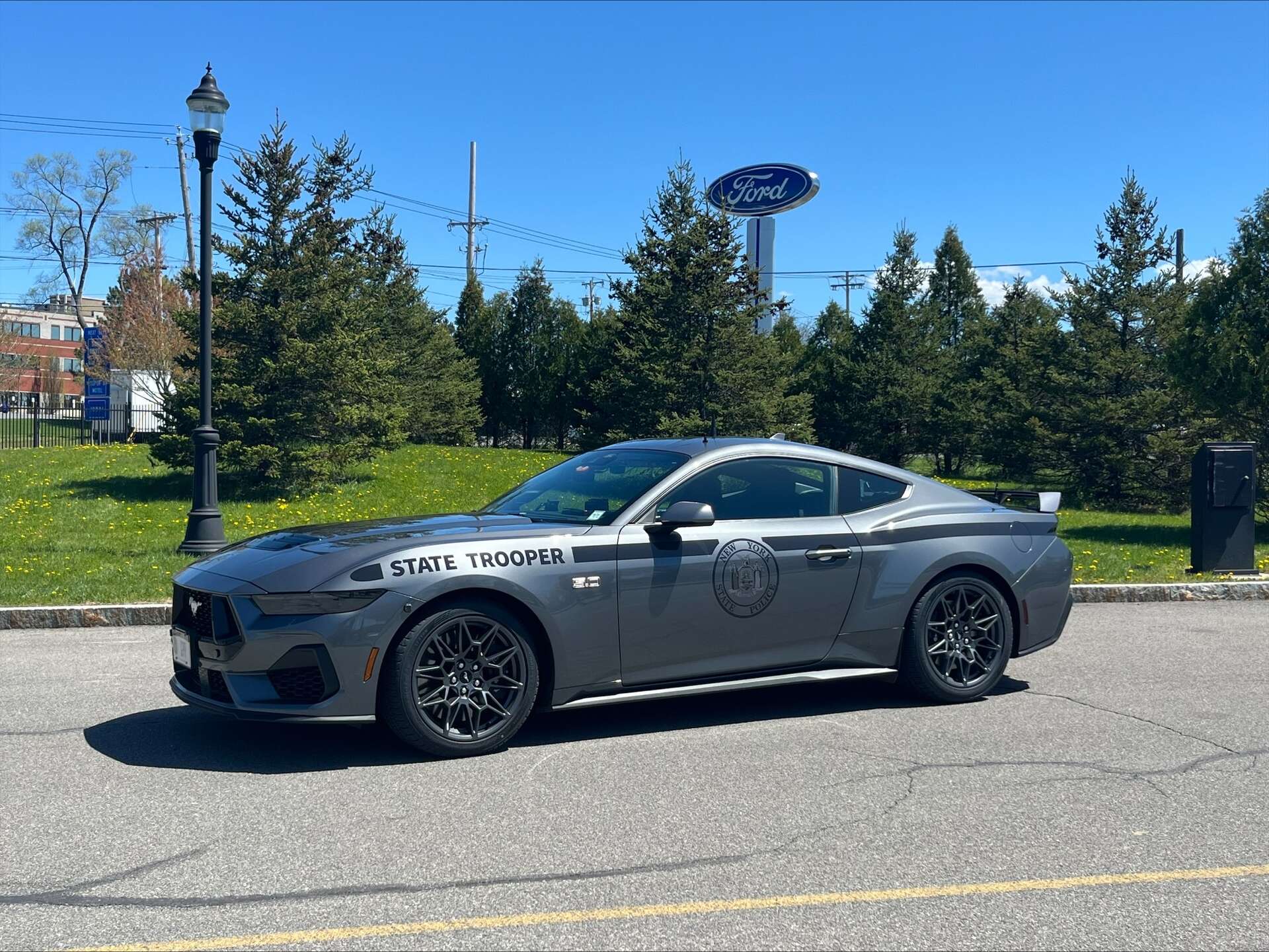 Elegant Police Mustang For Sale Pictures