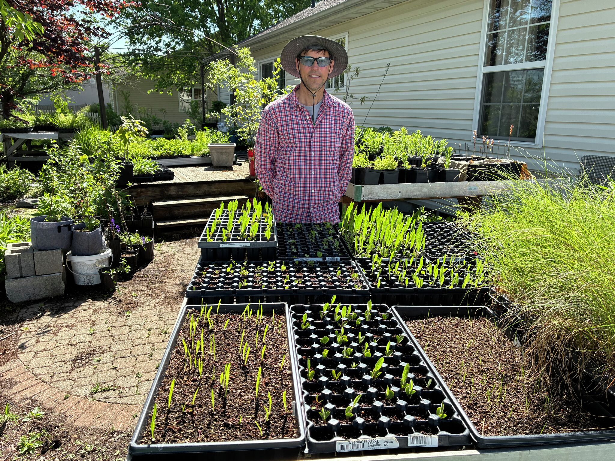 Godfrey plant lover grows native nursery business from home