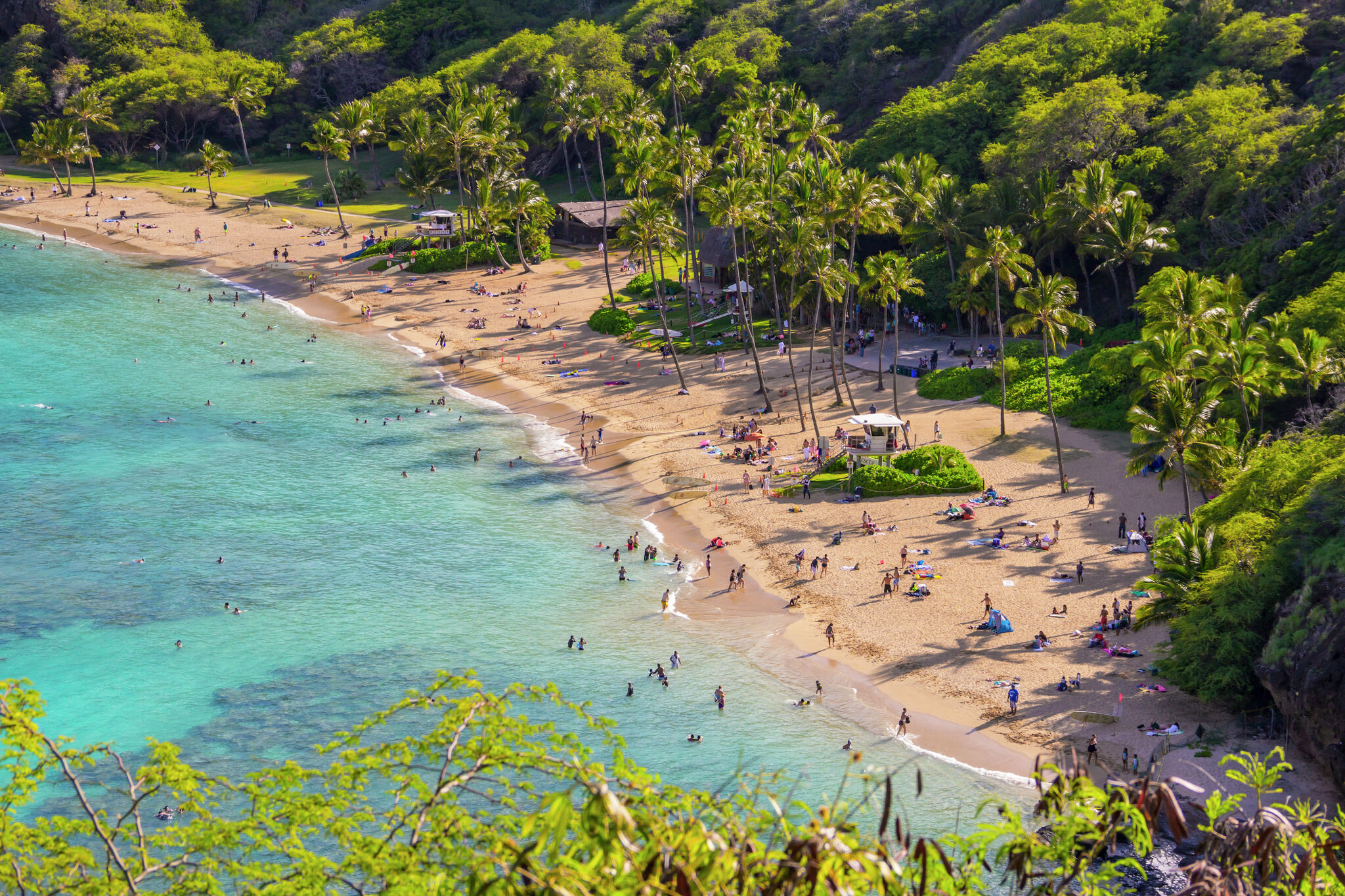 Bay Area woman dies while snorkeling in Hawaii