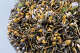 Golden mussels have spread rapidly in the delta after first being detected in 2024.