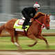 The Puma trains on the track during morning workouts ahead of the running of the 152nd Kentucky Derby at Churchill Downs on April 29, 2026, in Louisville, Kentucky.