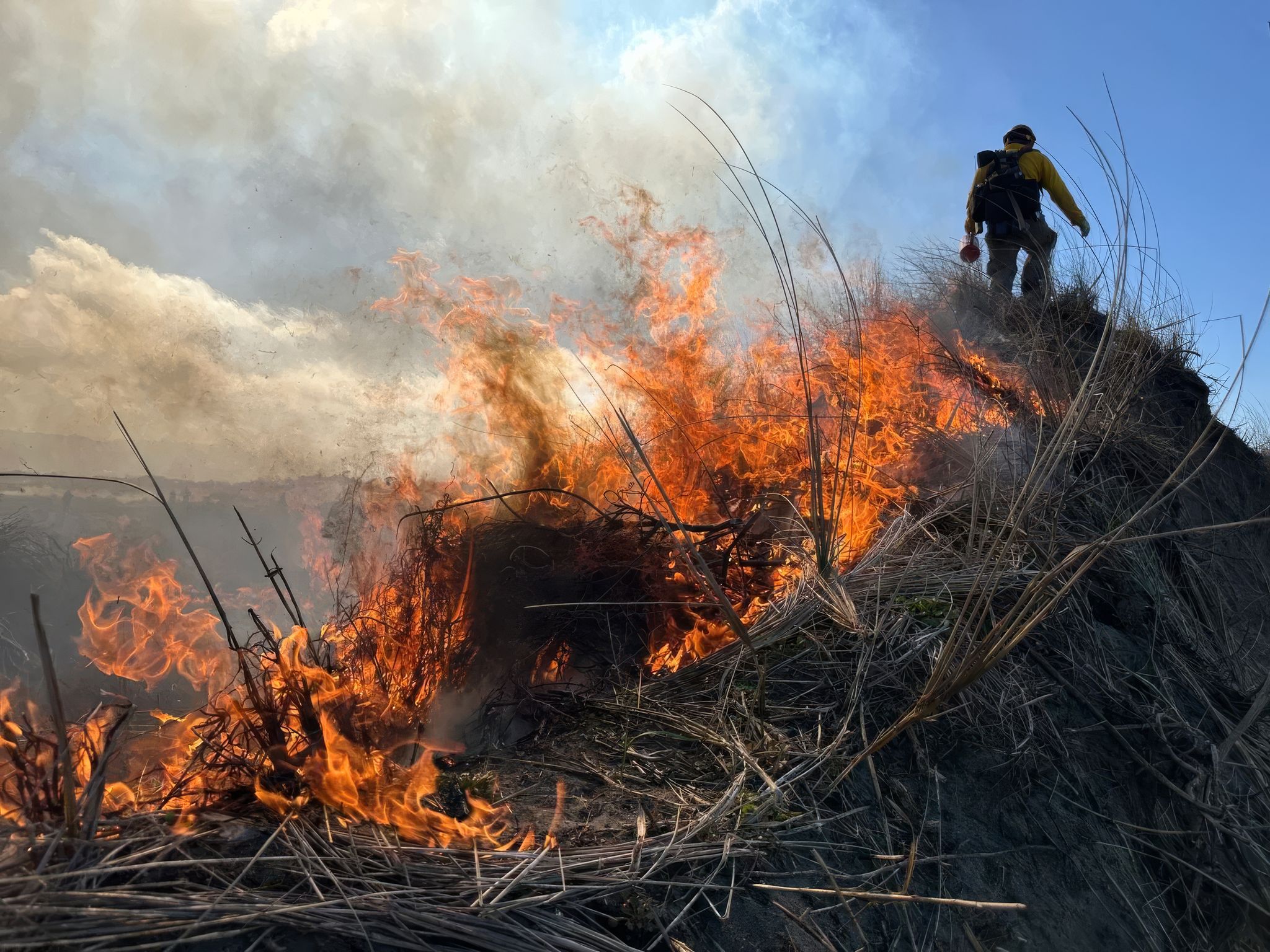 Mendocino Co.: 4 Firefighters Released From Hospital After Prescribed Burn