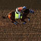The Kentucky Derby returns to Churchill Downs with a full field competing in the Run for the Roses.