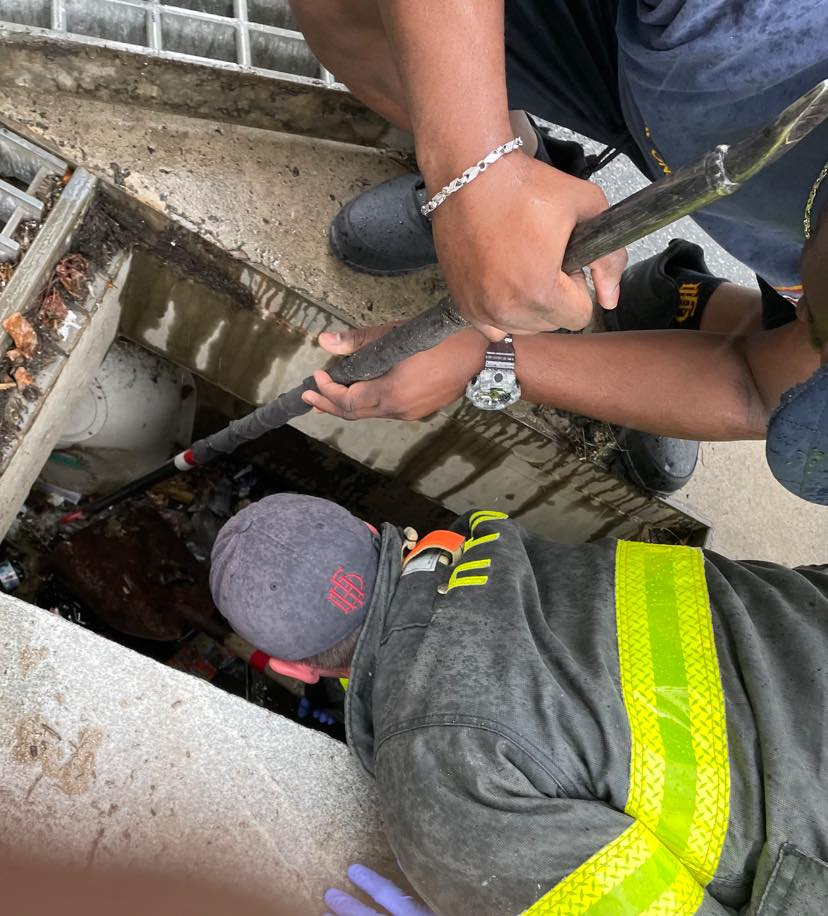 After Hartford fire call, crews rescue ducklings from storm drain