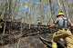 File photo. Most of Connecticut is under high risk of brush fires Friday, July 3, 2026, according to the state Department of Energy and Environmental Protection.