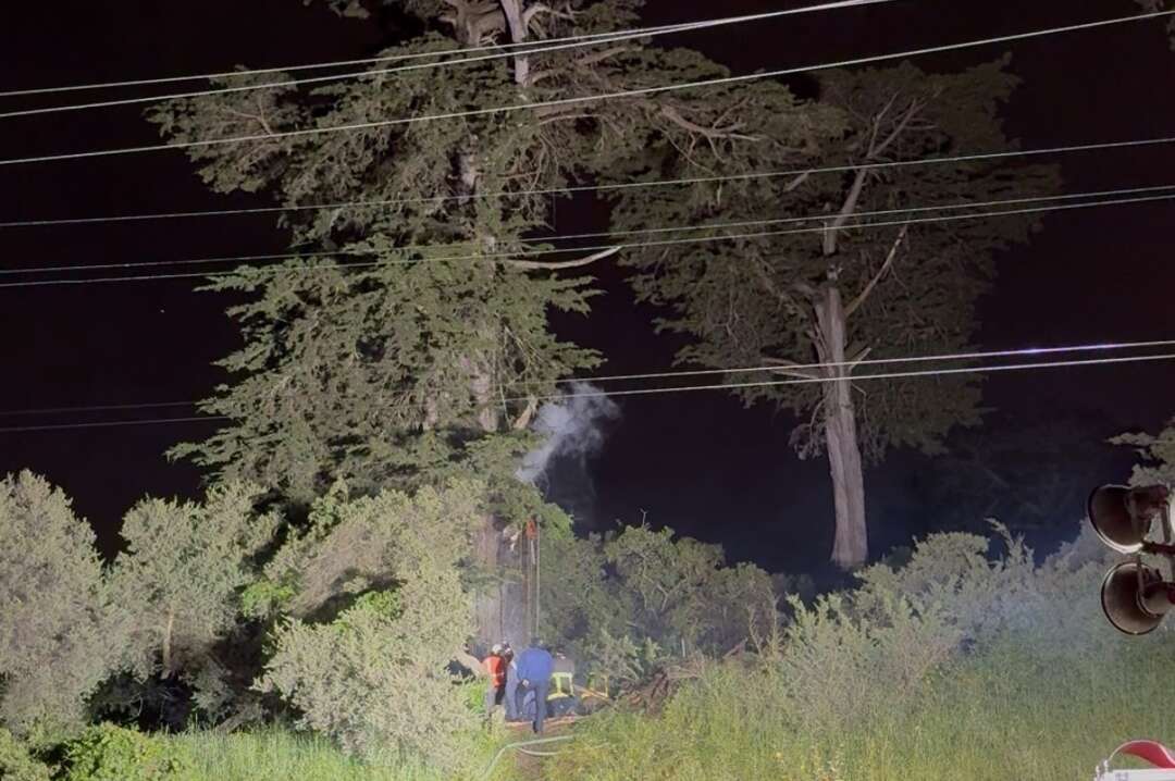 S.F. crews spend 9 hours battling Golden Gate Park tree fire
