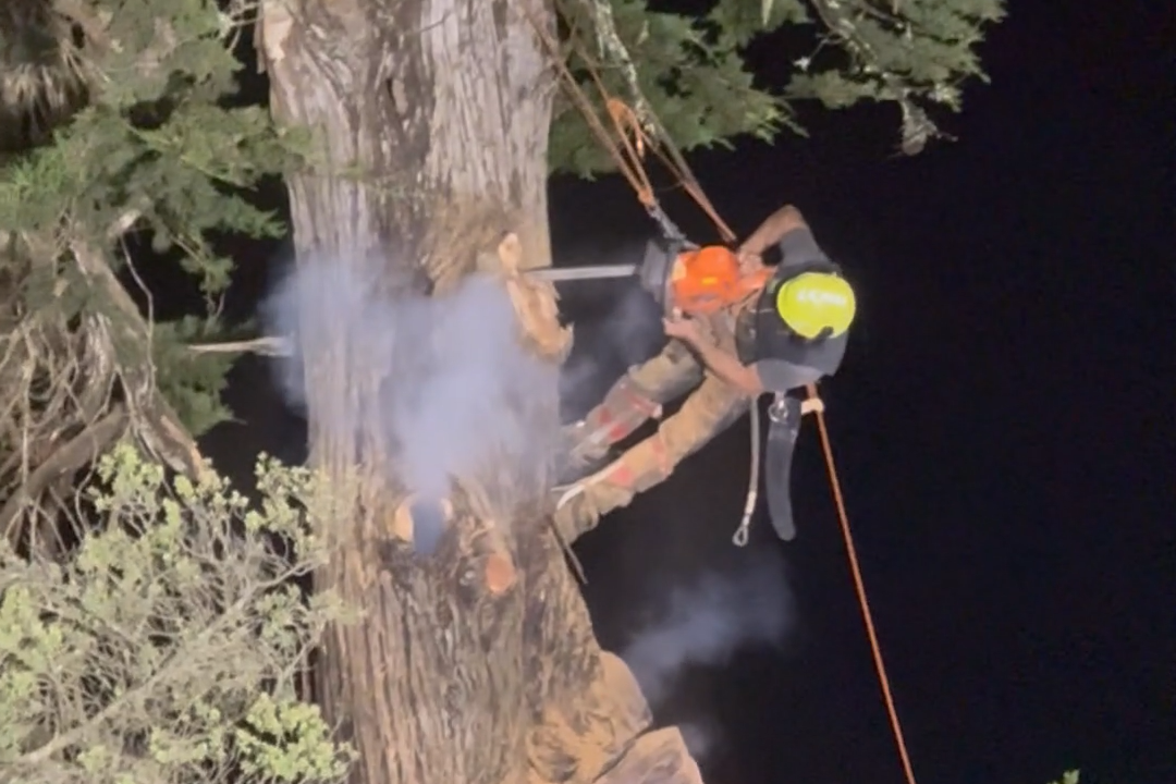 S.F. crews spend 9 hours battling Golden Gate Park tree fire