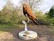 Big Rapids celebrated Migratory Bird Day and its Bird City designation with an event at Northend Riverside Park on May 9. During the event the newest addition to the city's public art, the Bord Sculpture by artist John Warner was dedicated.
