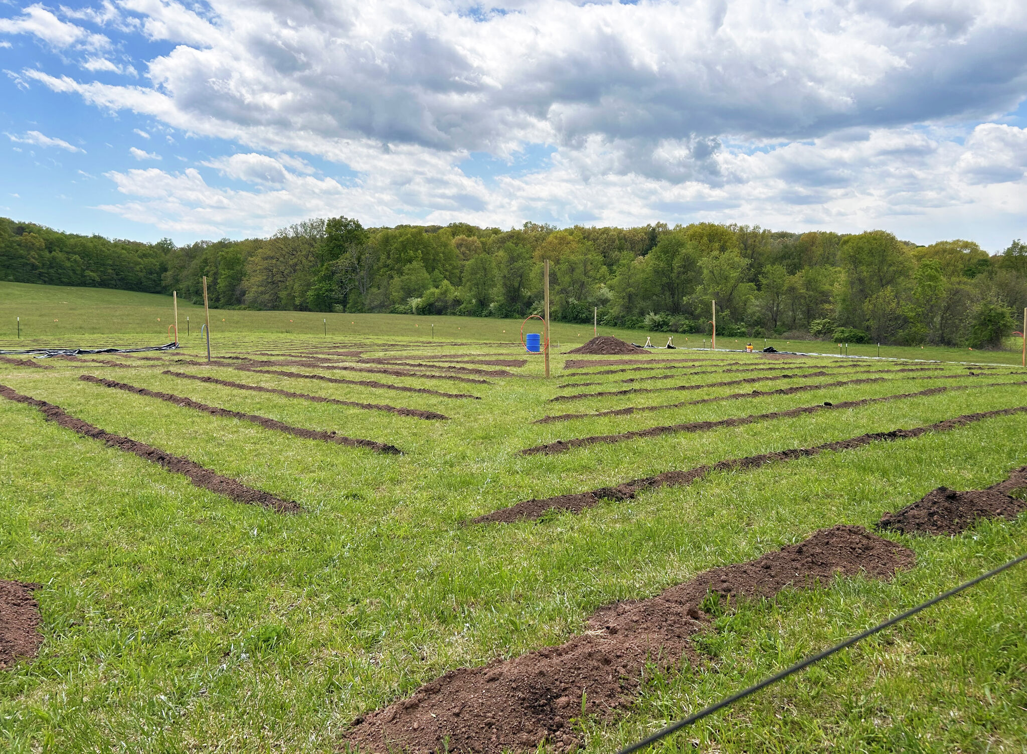 Middletown to consider other spaces for flower farm to operate once license ends
