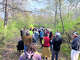 Upward of 40 people took an hour long tour with orinthologist Joe Lipar Saturday, May 9, for a bird watching event in Northend Park in Big Rapids.