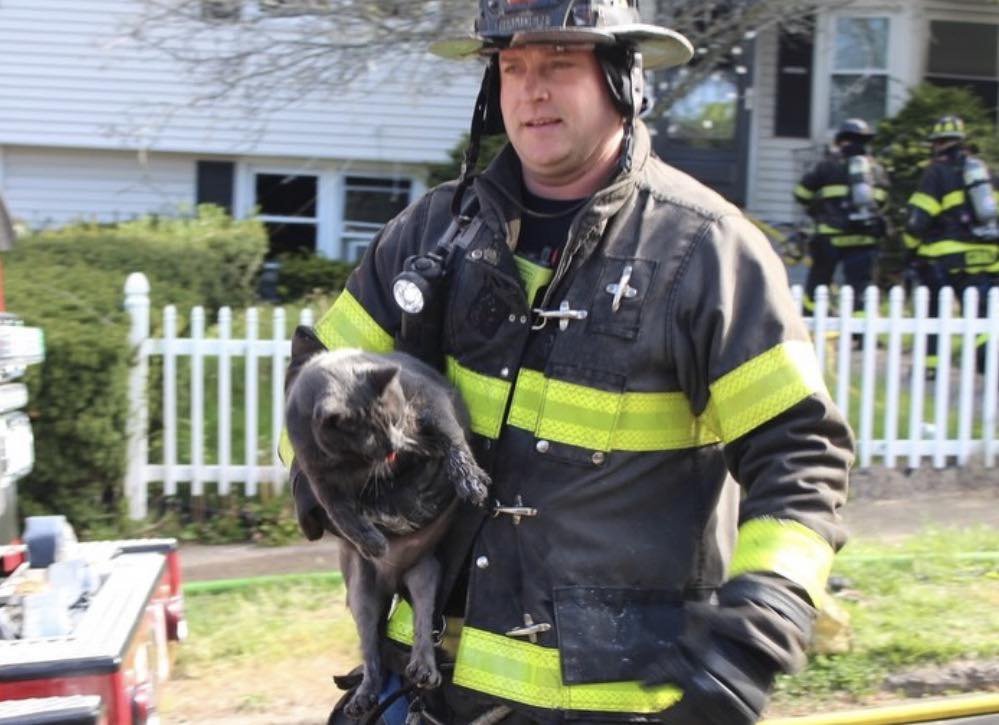 Community raising funds for Hamden family displaced by fire that injured pets