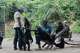 Caregivers at the Lola ya Bonobo sanctuary tend to orphan bonobos in Kinshasa, Democratic Republic of the Congo, on April 8, 2026.