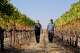 Walking with a grower in an unidentified California vineyard in October 2018, Erik McLaughlin, left, is the CEO of Metis Mergers and Acquisitions, an advisory firm specializing in the wine industest, during happier times for the industest. (Metis Mergers and Acquisitions via Bay City News)