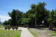 A view of the Lahaina banyan tree on Maui.