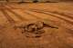 The carcass of a camel that died from hunger lies in an open field in Usgure, Puntland, Somalia, Friday, April 17, 2026.