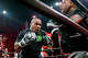 Mike Tyson spars in the ring during an open workout before his bout against Jake Paul at Toyota Music Factory, on Nov. 12, 2024, in Irving, Texas. Products from Tyson’s cannabis brand Tyson 2.0 are now available in the state through a partnership with Connecticut-based Rodeo Cannabis.