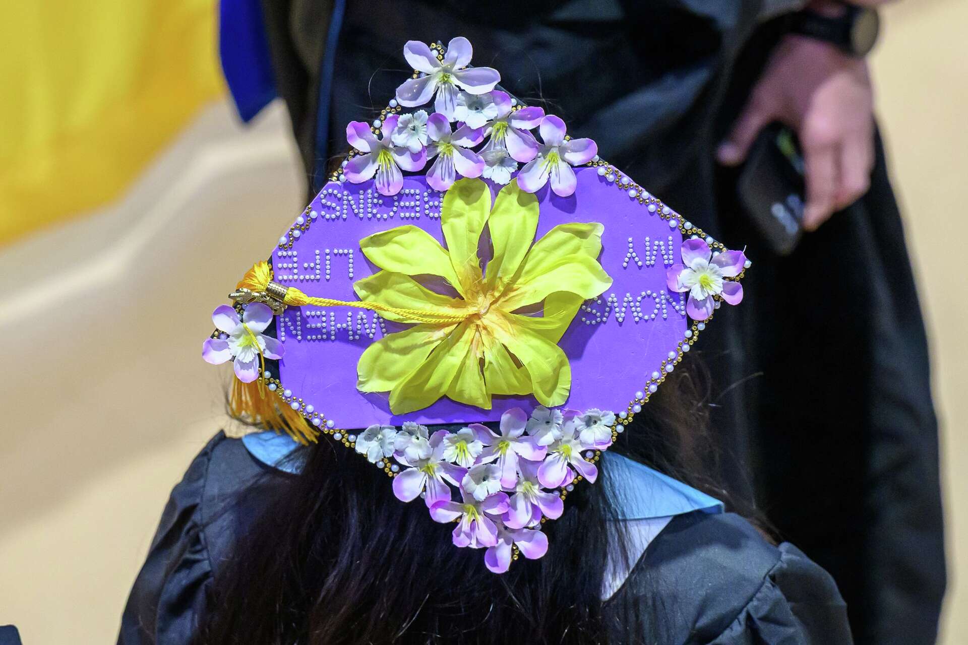 Photos: Graduates walk at University at Albany