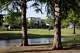 A new build, four bedroom, three and a half bathroom home for sale is seen between trees at Rawhide Park in Dallas, Thursday, May 14, 2026.