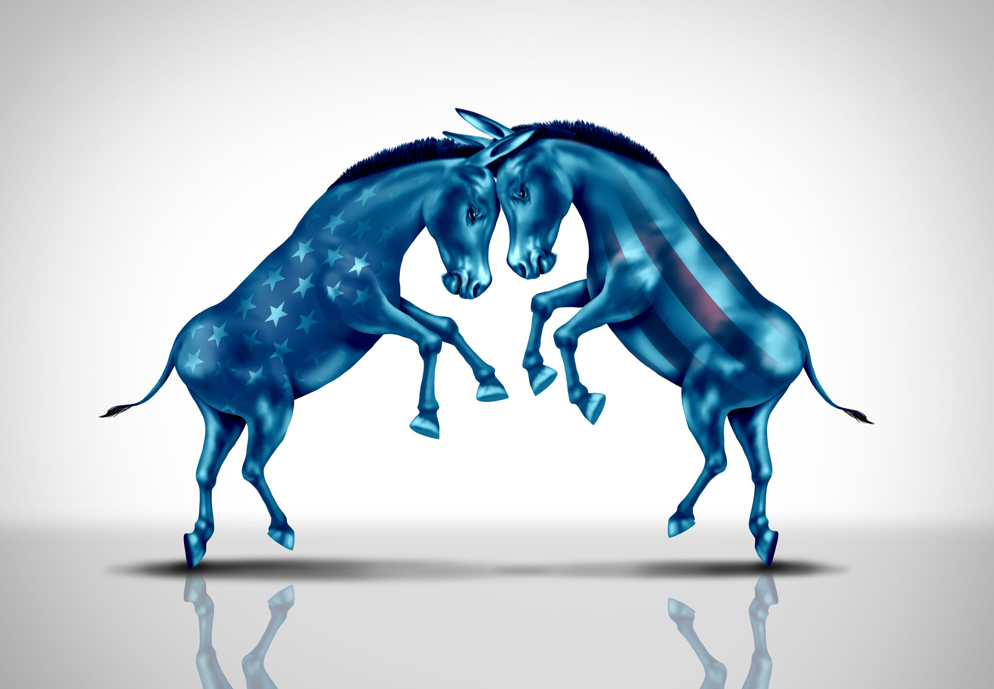 sfchronicle.com - Chronicle readers - Letters: Moderate or progressive? For Democrats, it doesn't matter if they can't win elections