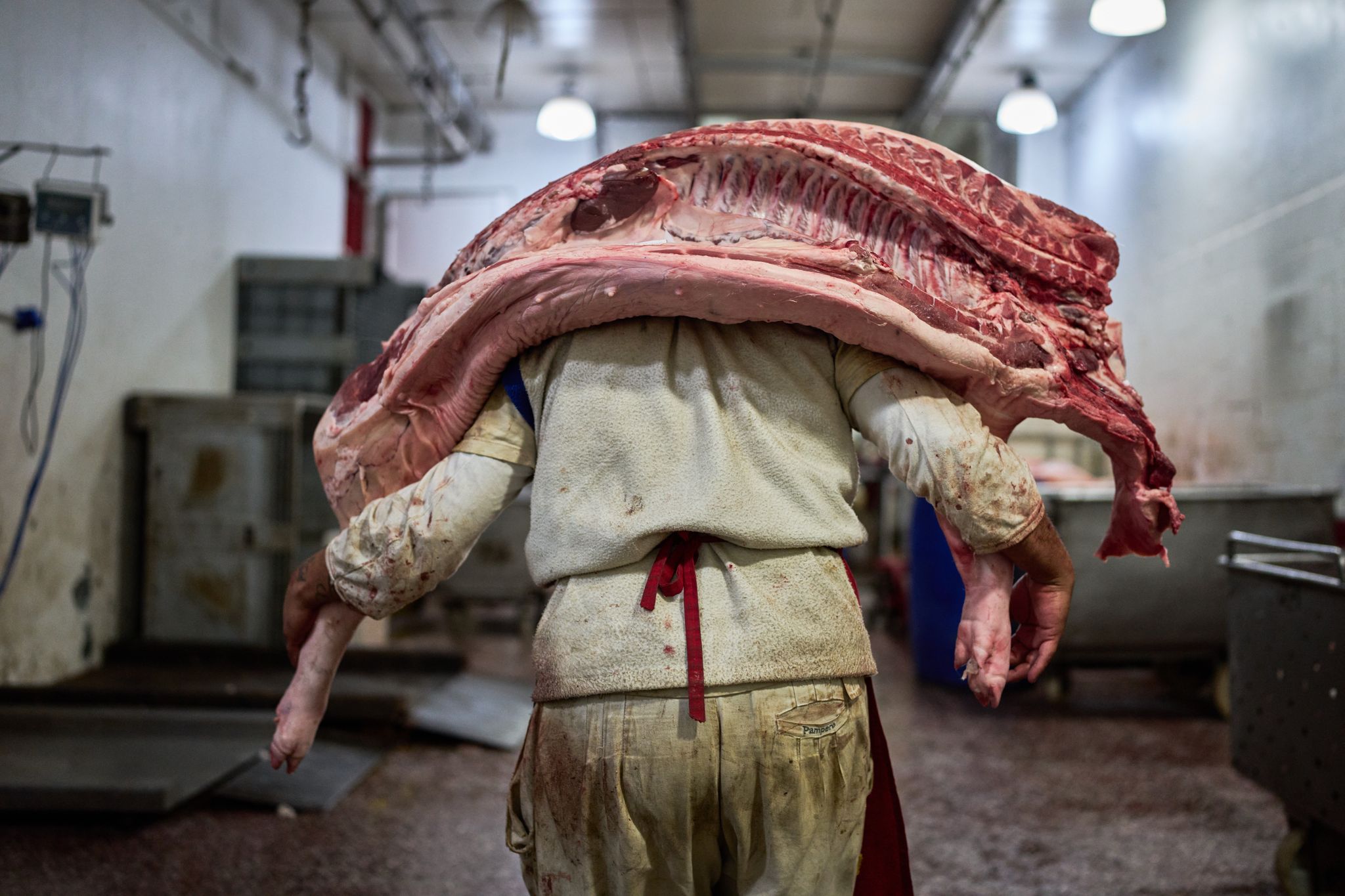 Argentinas beef consumption falls to lowest level in 20 years as prices soar - CT Insider thumbnail