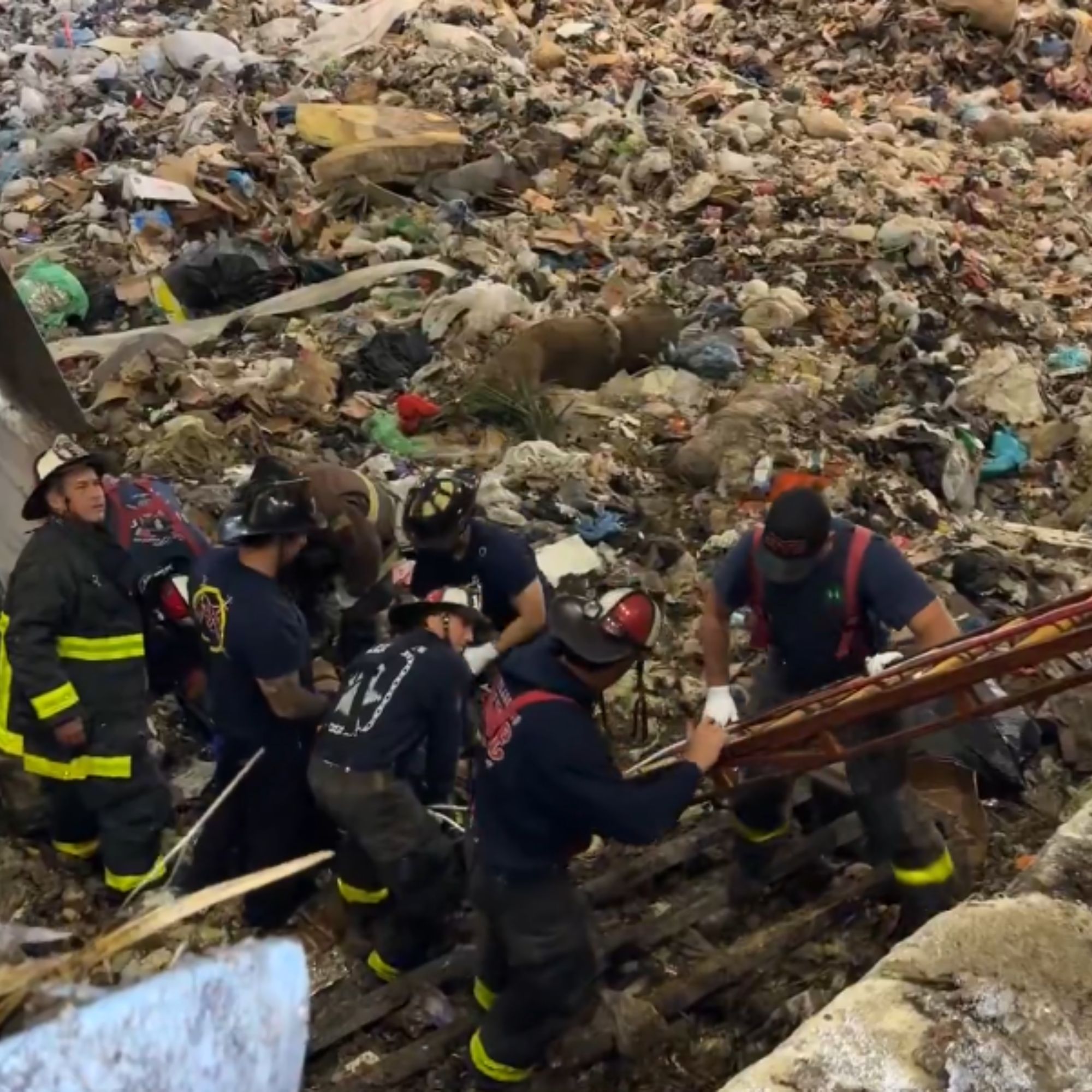 SF Fire Dept. rescues Recology worker who plunged into recycling pit in ...