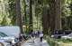 Visitors make their way out of crowded parking lots in Yosemite Village last May.