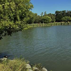 Body recovered from lake at popular Bay Area park