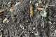 Compost, which can be created from yard and/or kitchen waste, naturally replaces nutrients in the soil.