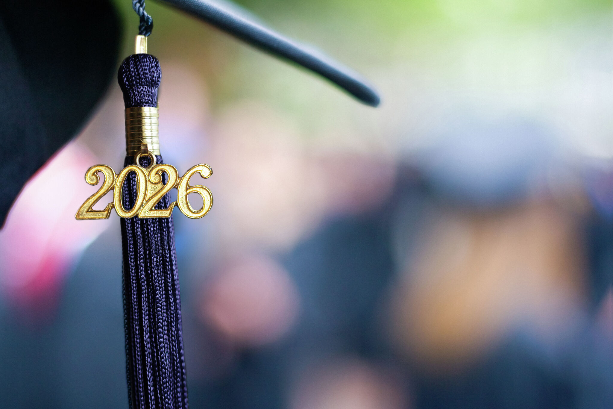 'At some point, you will look around at your colleagues on the job and think, 'Life is really just a continuation of middle school,' writes Susan Campbell.