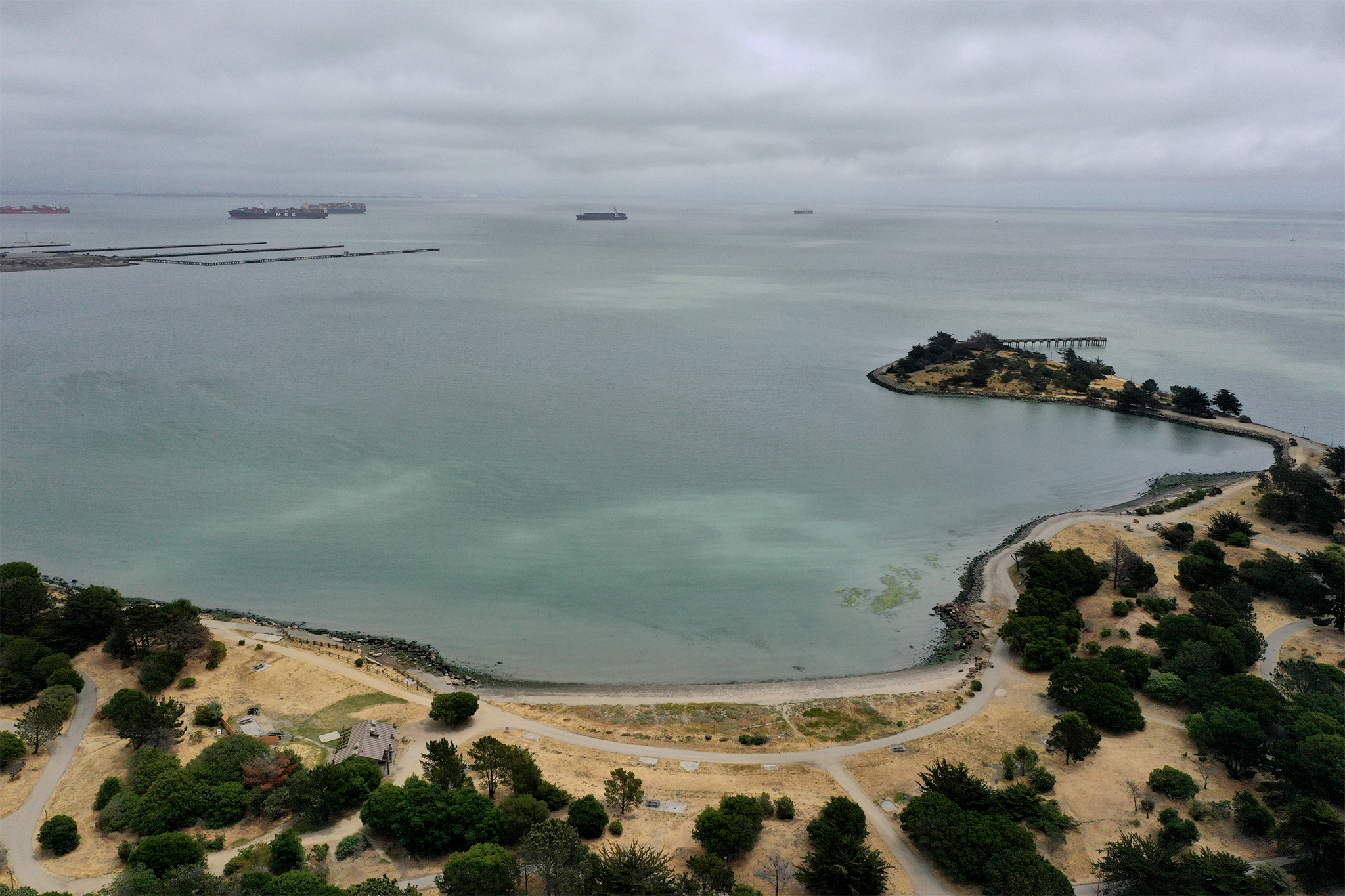 These SF parcels sold for under $1,000 each - there's a catch