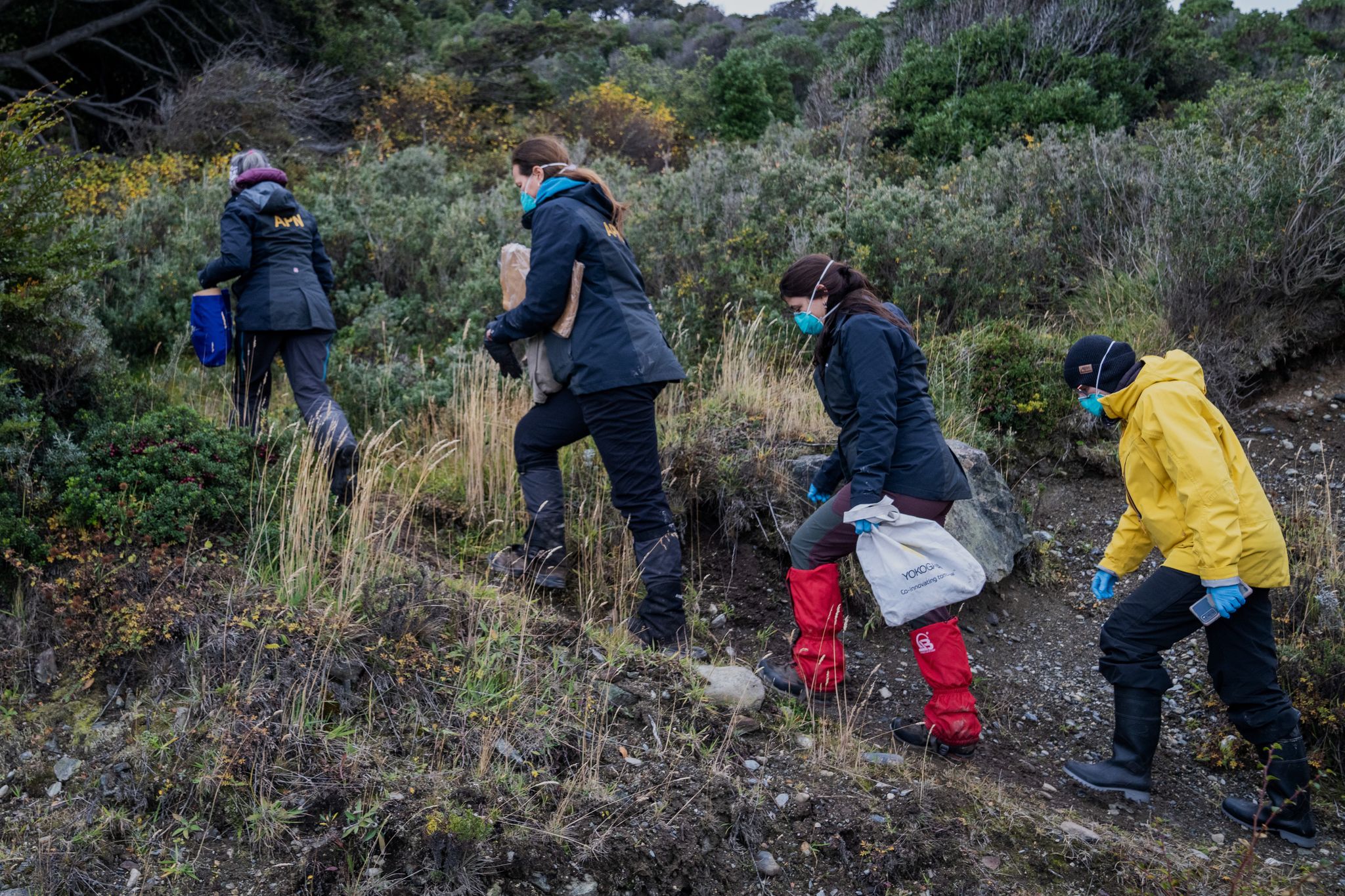 Argentina amplía la investigación sobre hantavirus y envía equipos para atrapar y probar ratas en Mendoza